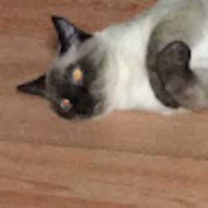 Meet your Posher, Natalie